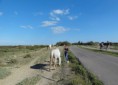 /album/tourisme-et-decouvertes/a2014-05-35-copie-jpg/